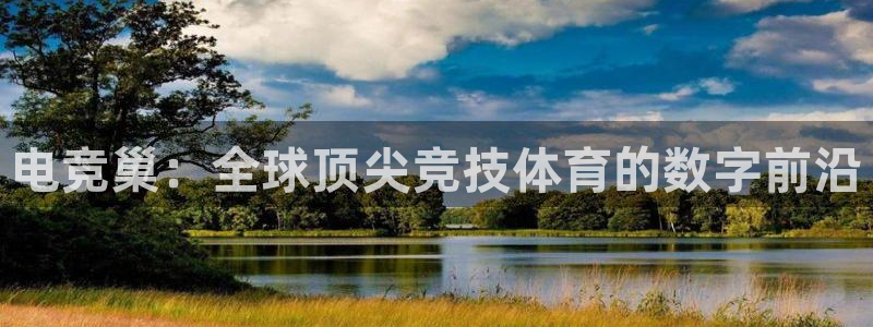 威客电竞客服：电竞巢：全球顶尖竞技体育的数字前沿