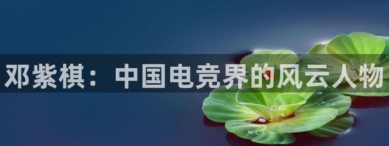 威客电竞吧官网安卓版