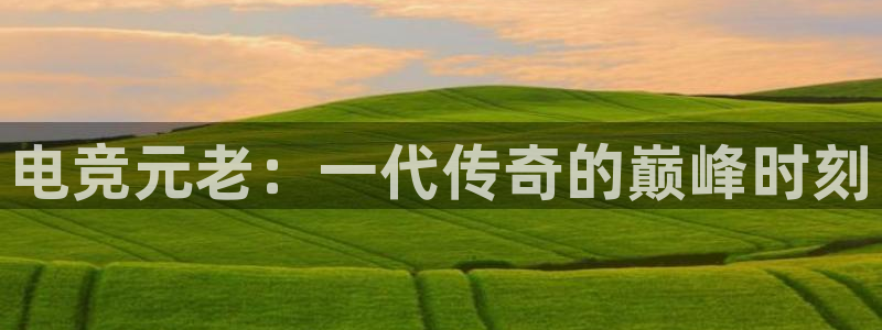 威客电竞官网下载