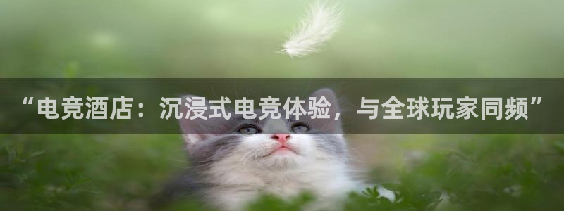 威客电竞