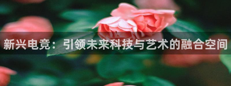vkgame威客电竞官网