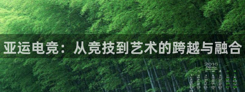 威客电竞 optic