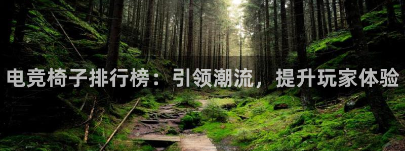 威客电竞网页版入口