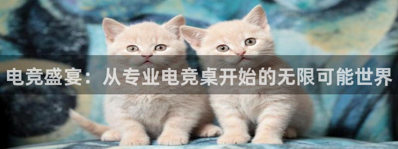 vkgame威客电竞