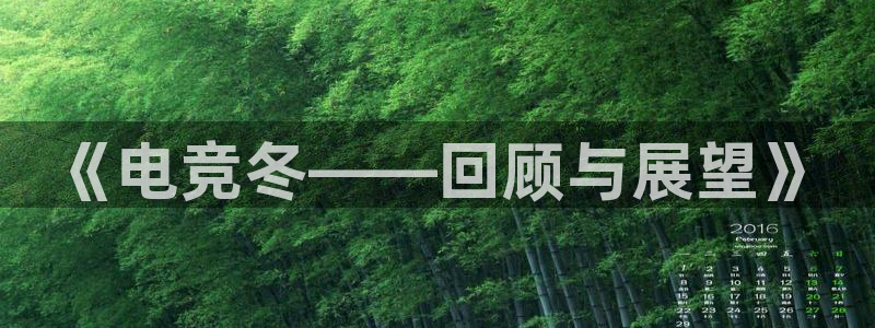 威客电竞官网下载