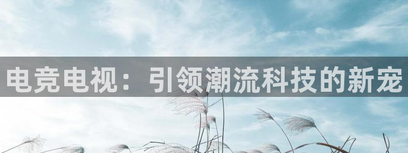 vkgame 威客电竞