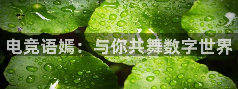 威客电竞集团